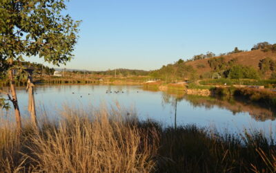 Creating Cravens Creek Ponds