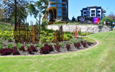 Completed Project: Kangaroo Point