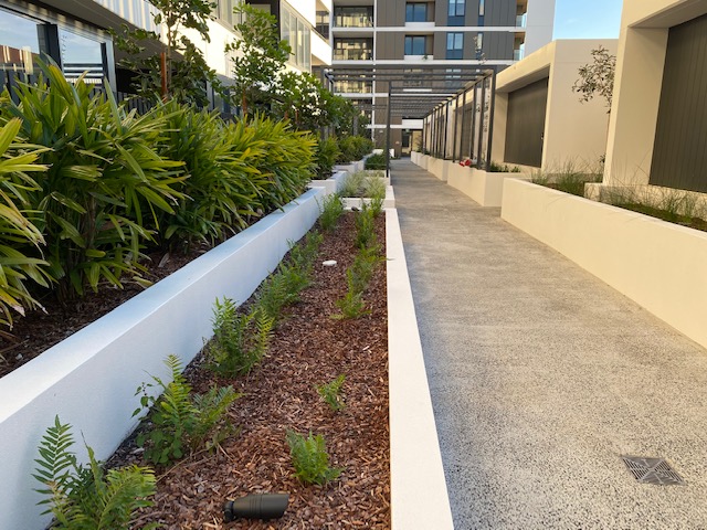 Thomas Street Playground Upgrade